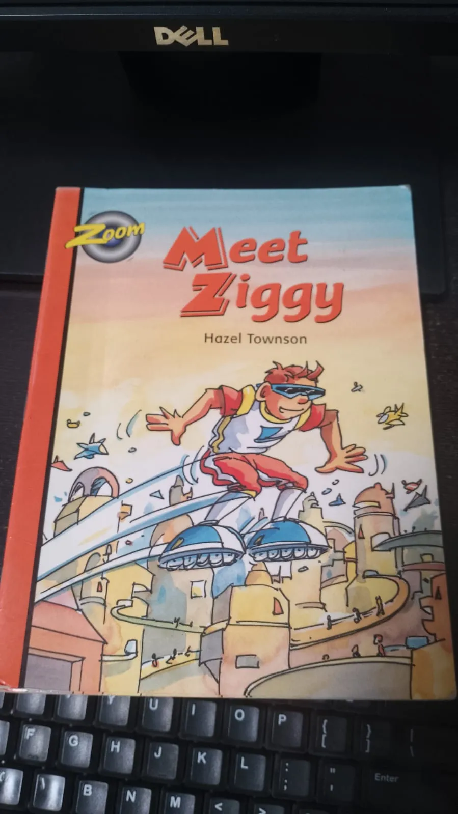 Meet Ziggy